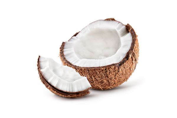 Home Page Coconut Product Small